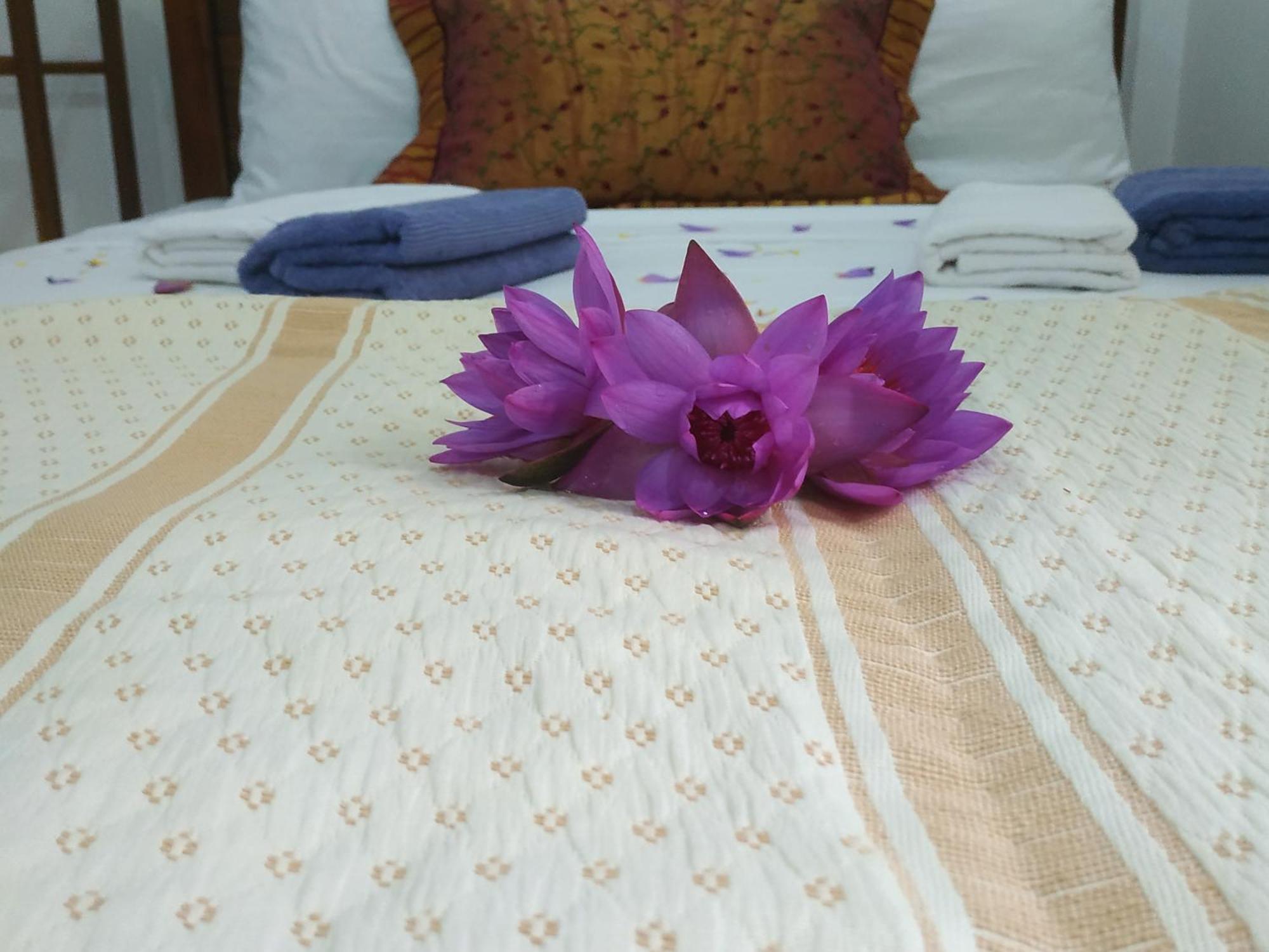 Four Seasons Safari Resort Udawalawa Udawalawe Eksteriør billede
